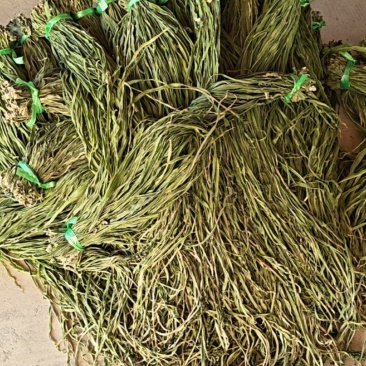 贡菜一二三级都有货