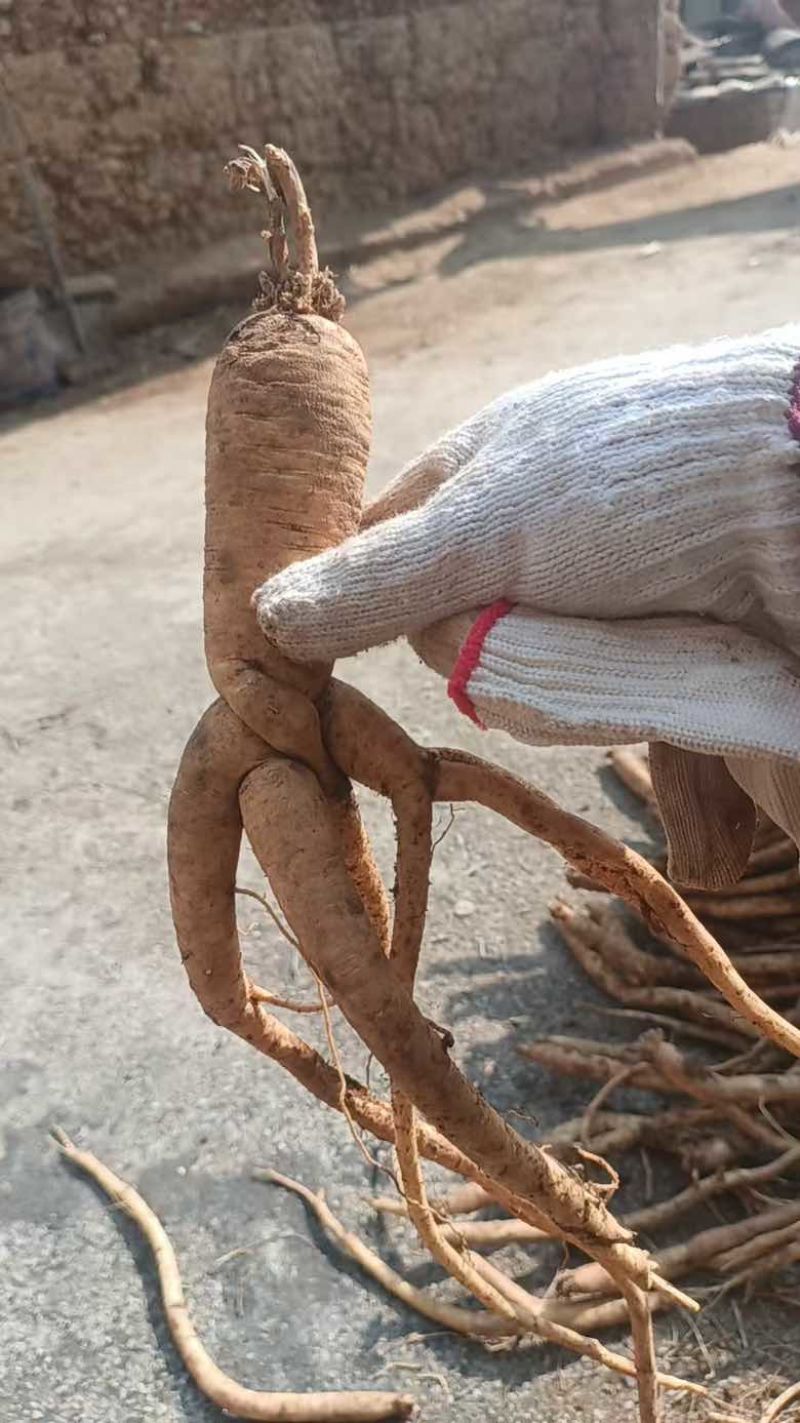 各种规格都有需要请联系