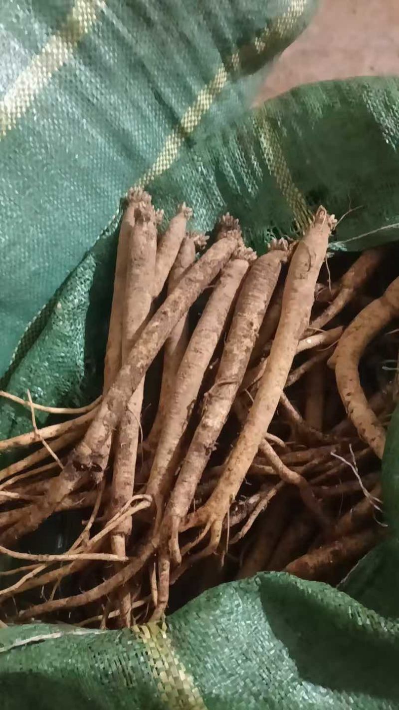 各种规格都有需要请联系