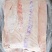 肥猪脊皮3900/吨新货去油去毛干净*后一车临沂提