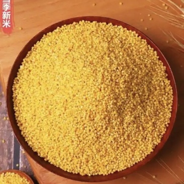 小粒米