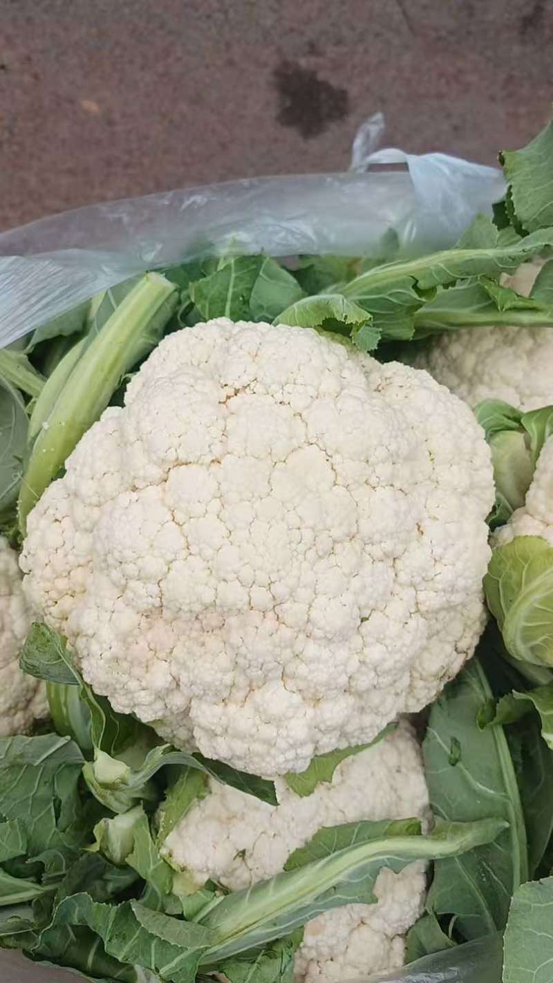 精品有机花菜