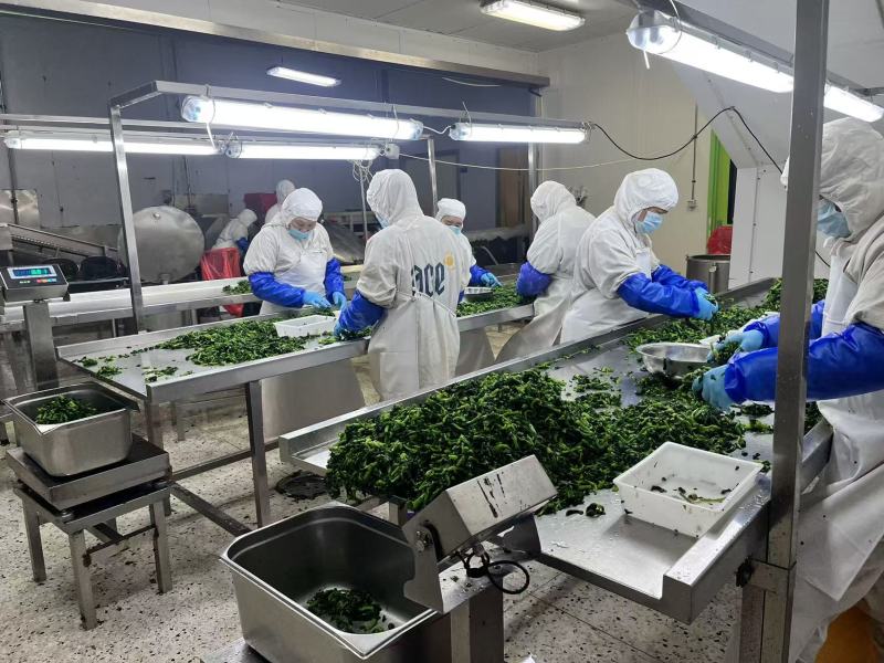 调味菜心