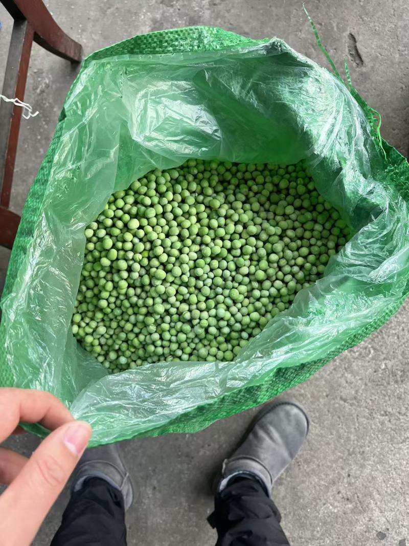 速冻青豆粒
