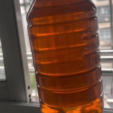 山茶油22