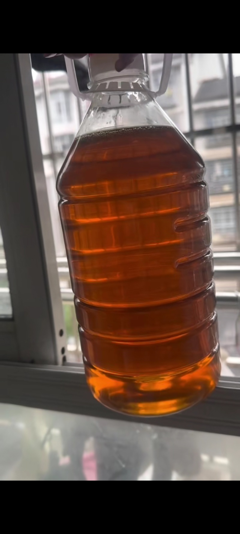 山茶油22