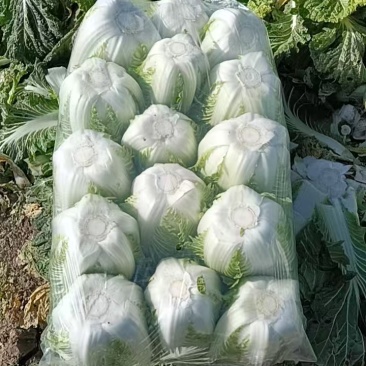 精品货源欢迎下单