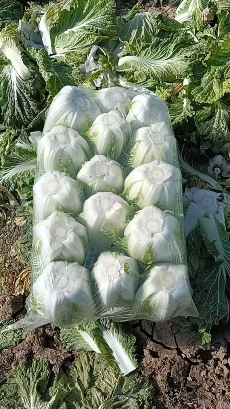 精品货源欢迎下单