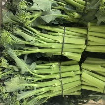 西兰苔