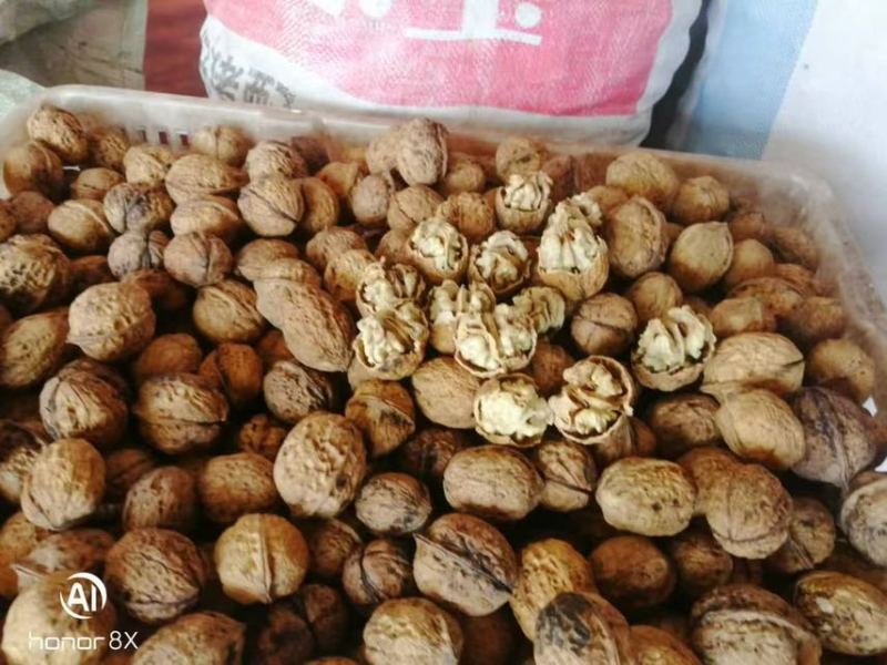 云南新大麻子核桃103185量大可议价