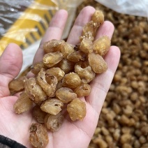 批发广西博白桂圆干龙眼肉桂圆肉50斤一件无硫不加糖量大价优