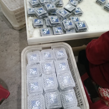 蓝莓电商果一件代发F11L25