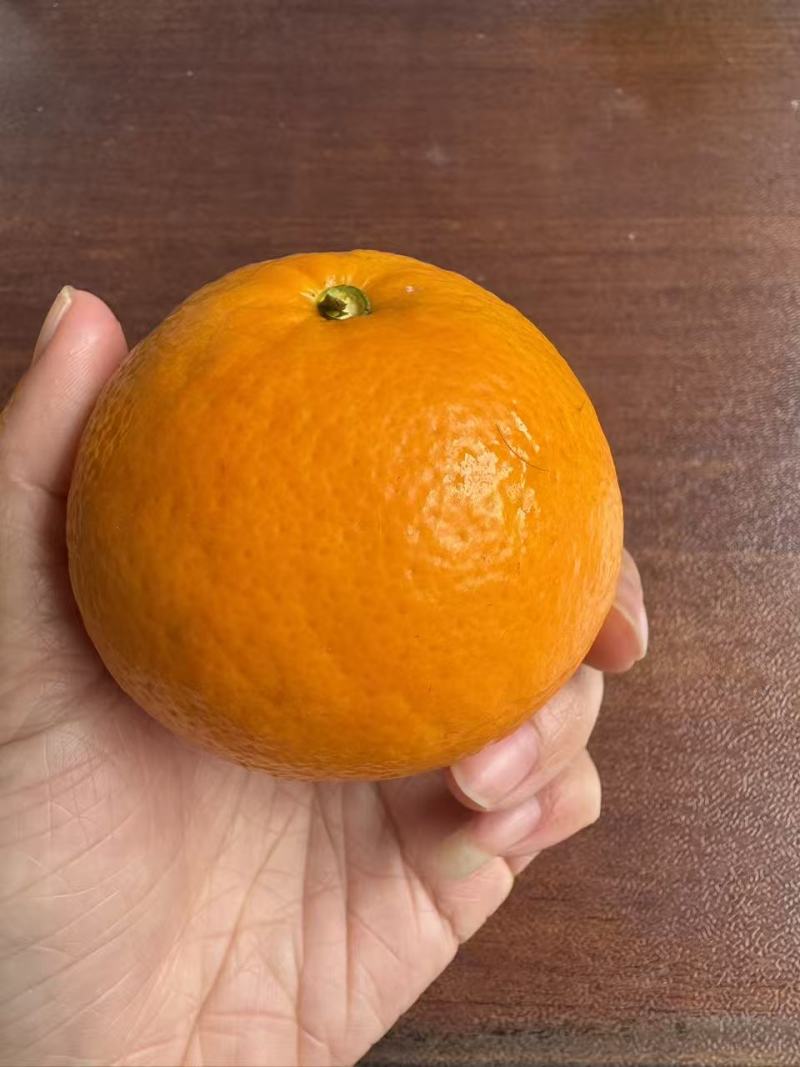 沃柑