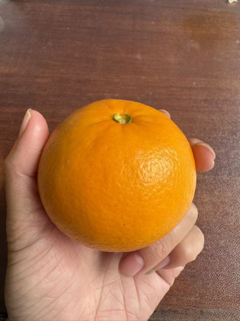 沃柑
