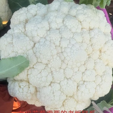 精品有机花菜