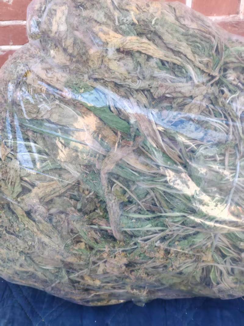 晒干的干白菜，注意不是脱水白菜！！！