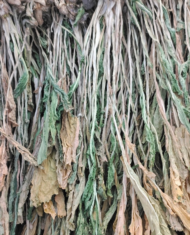 晒干的干白菜，注意不是脱水白菜！！！