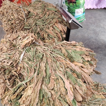 晒干的干白菜，注意不是脱水白菜！！！