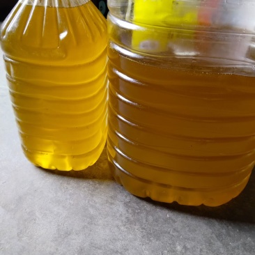 怀化高山老树小籽山茶油