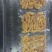 鲈鱼籽上市了