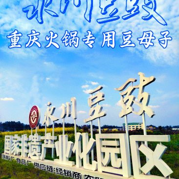 永川豆豉、豆母子、干豆豉、风味豆豉