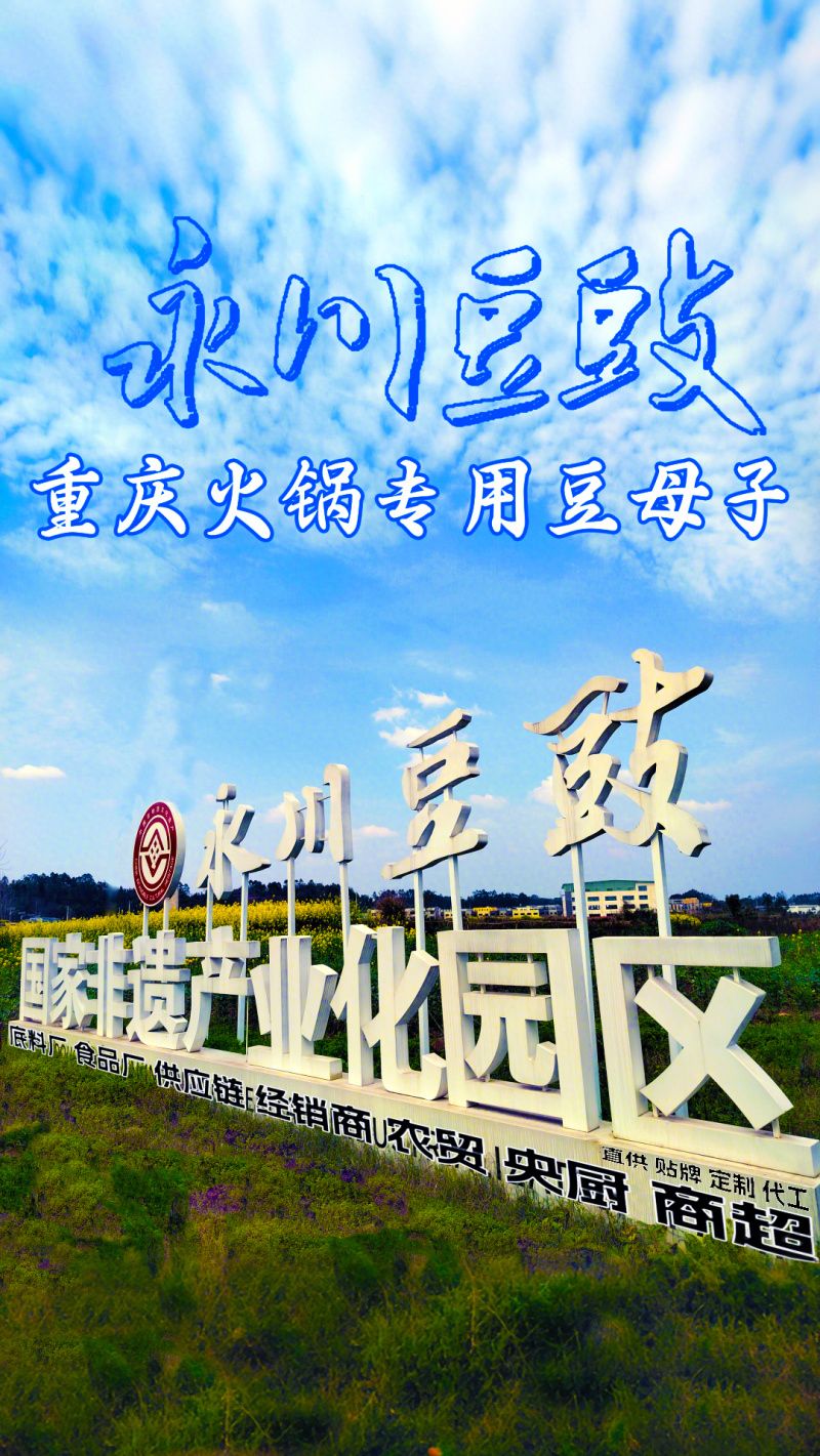 永川豆豉、豆母子、干豆豉、风味豆豉