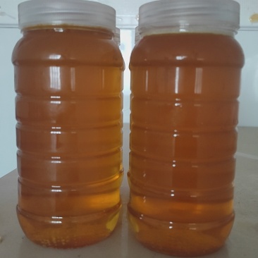 湖南慈利高山土蜂蜜