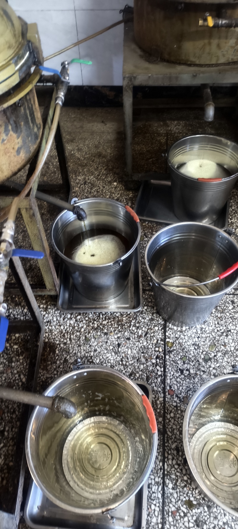 自己种纯正茶籽油现有200-300斤有需要的老板联系我
