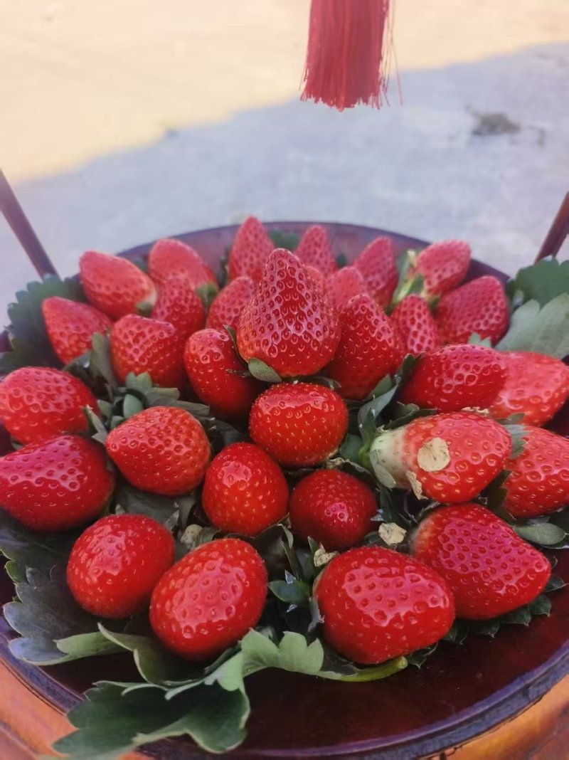 草莓