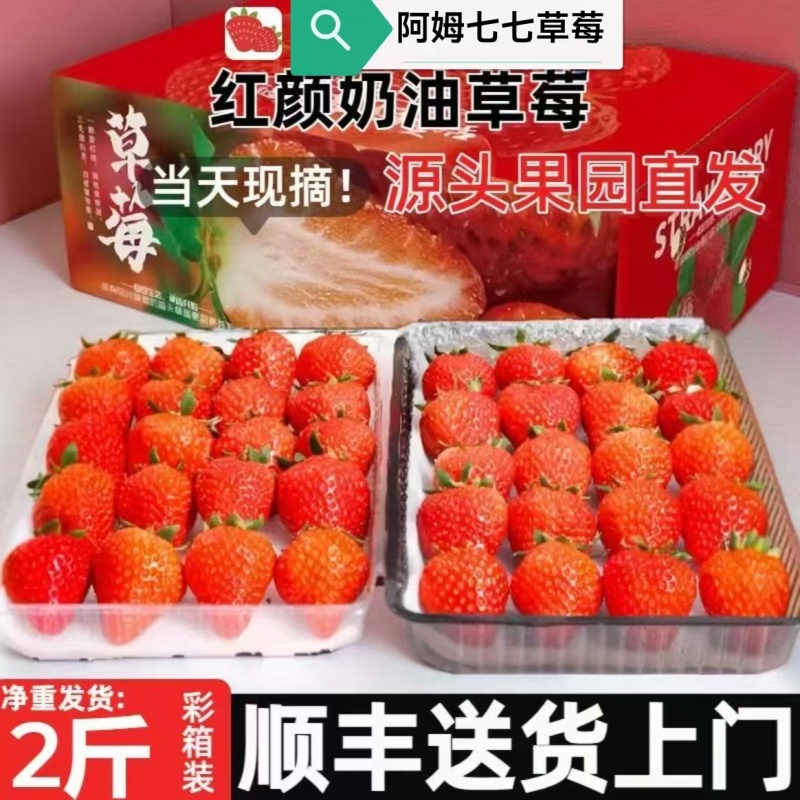 草莓