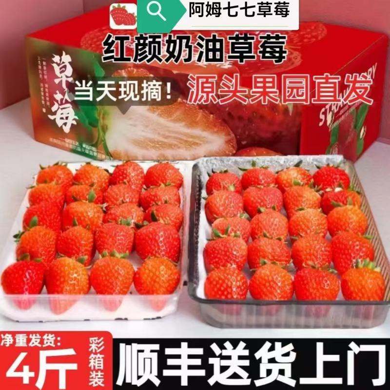 草莓