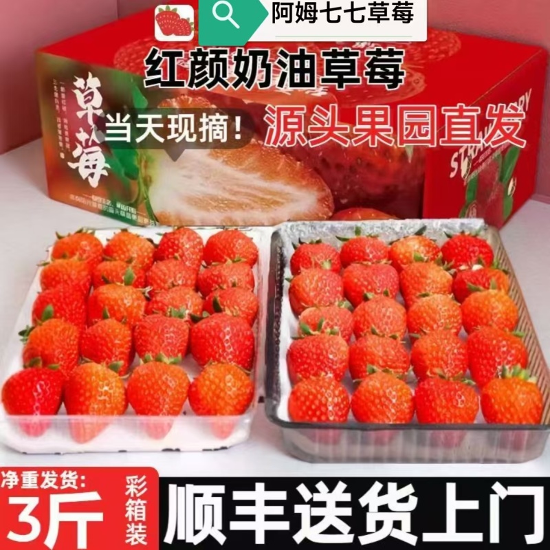 草莓