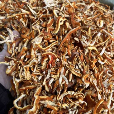 批发优质陈皮丝新货陈皮量大从优正品保证直接源头货源香料供应链