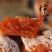 柿饼