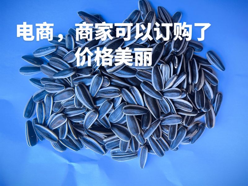 葵花籽