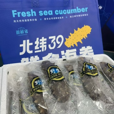 威海海参鲍鱼，地址3.99一只，6头80