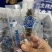 威海海参鲍鱼，地址3.99一只，6头80