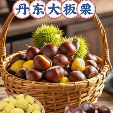 丹东板栗