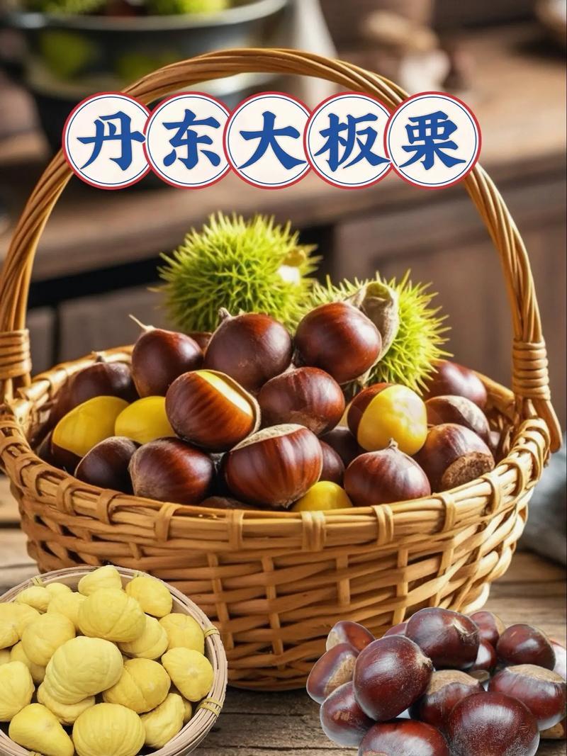 丹东板栗