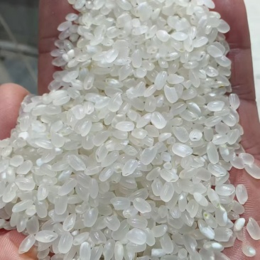 珍珠米批发，沈阳附近提货，米厂直签运输费用低，发财联话你的