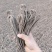 甘肃原产地，无硫薰***岷当归