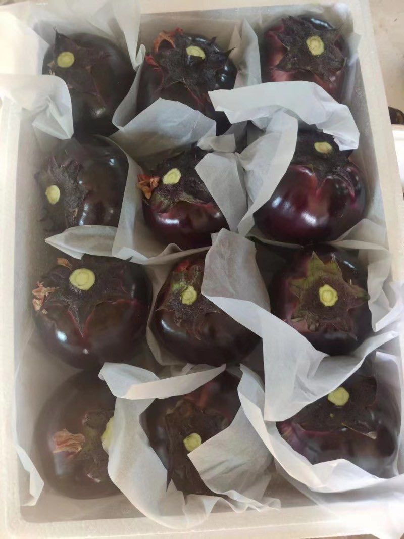 寿光紫光圆茄，果型好，产地直供，货源稳定