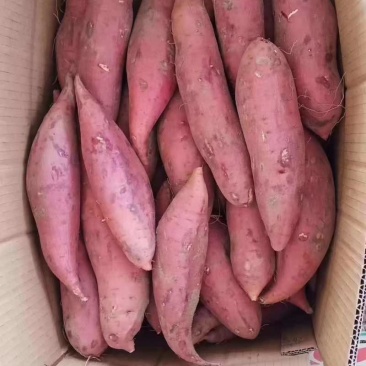西瓜红红薯，条形美观，软糯香甜