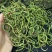 野生化石草（猫爪草）通货，有现货