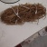 安徽纯手工红薯粉丝