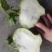 冷库丕蓝