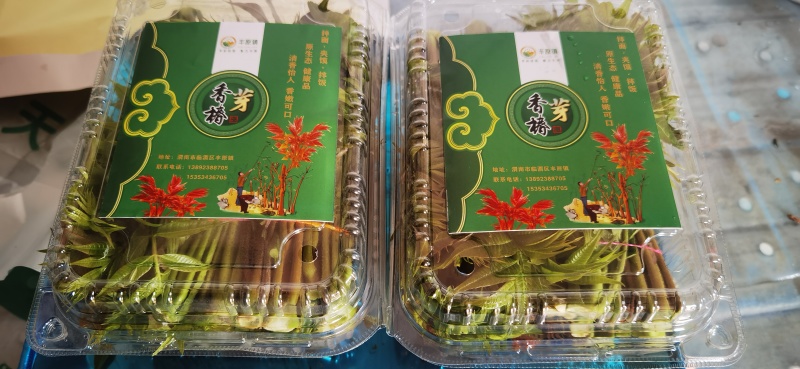 红油香椿