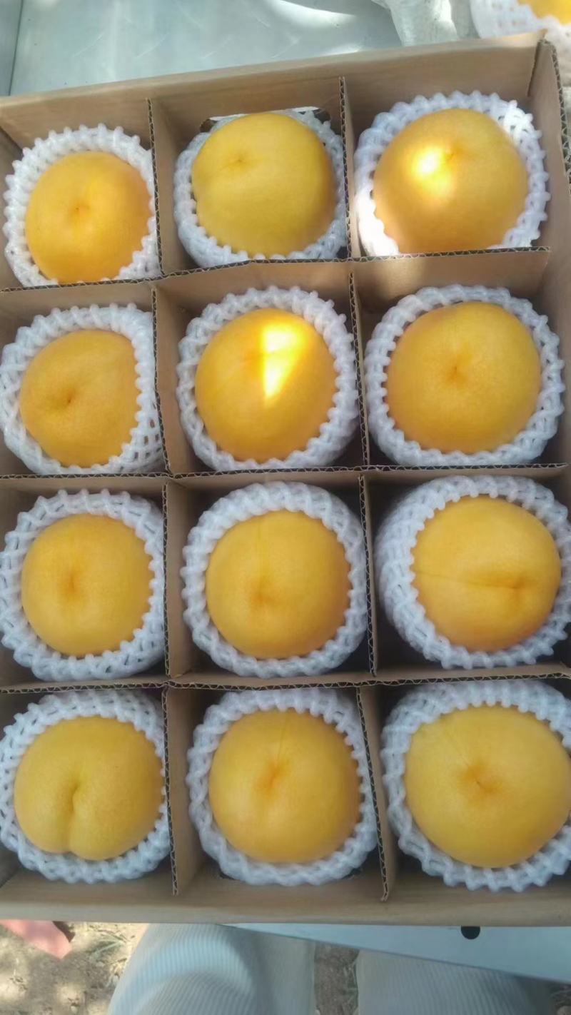 平谷精品大桃