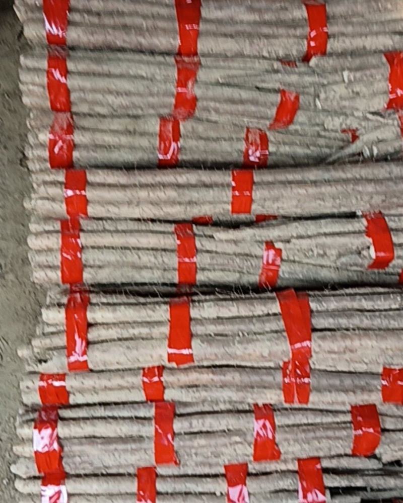 白玉山药567