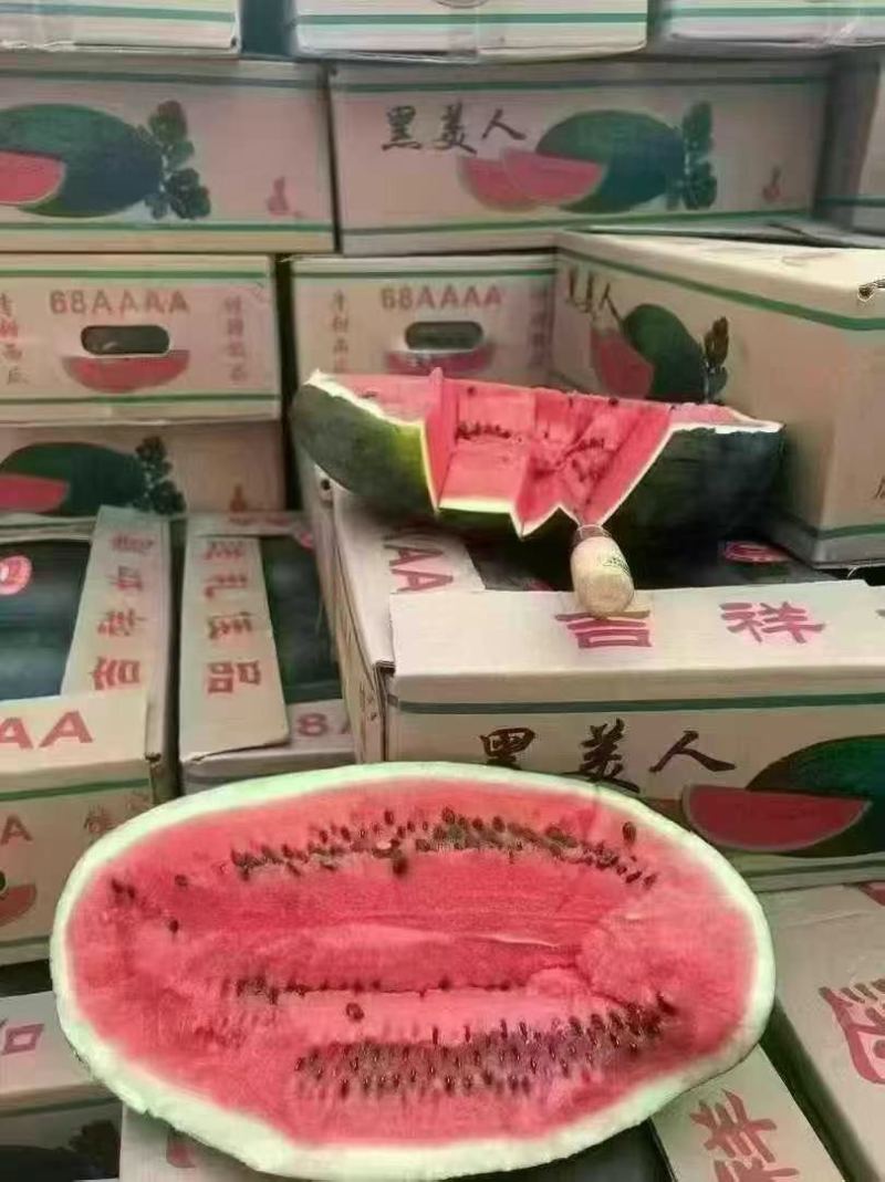 西瓜黑美人正品保障长期供货全国供应黑美人西瓜黑美人